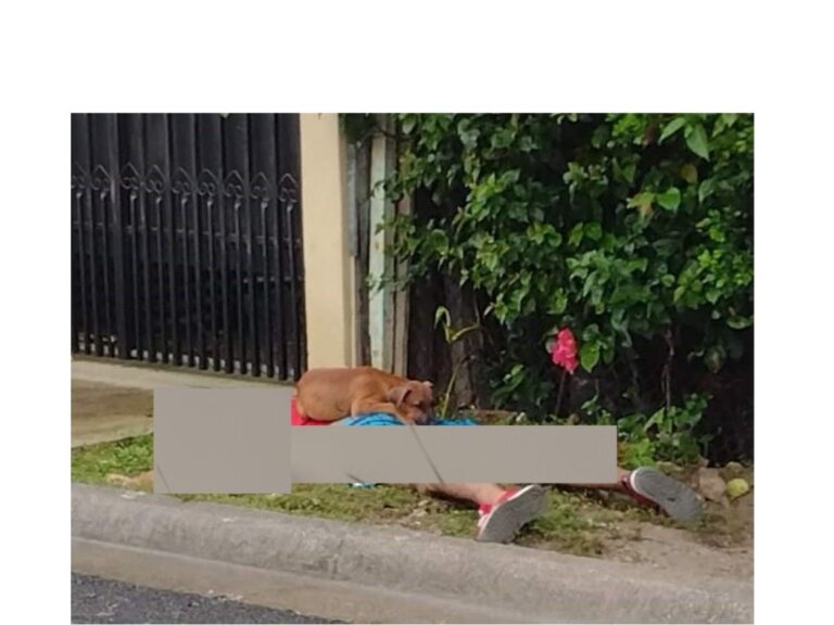 PERRO NO ABANDONA A SU DUEÑO ASESINADO