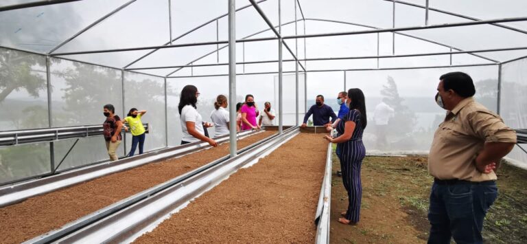 “IMPULSO RURAL” DEL INDER FUE VITAL PARA REACTIVACIÓN ECONÓMICA DE PRODUCTORES DE TRONADORA DE TILARÁN