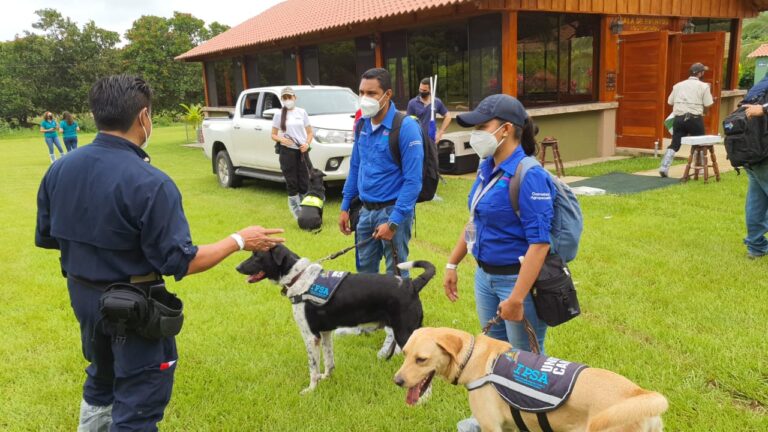 ENTRENAN PERROS PARA DETECTAR PRESENCIA DE PLAGA DE CARACOL GIGANTE