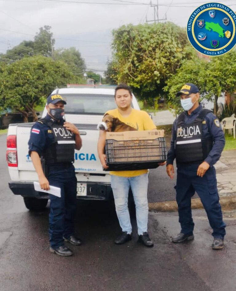 POLICÍA DETIENE AGRESIÓN CONTRA PERRO