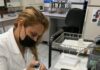 EVALÚAN POTENCIAL DE MIEL PARA USO VETERINARIO