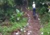 ESTUDIANTES Y PROFESORES ABREN SENDERO EN SARAPIQUÍ PARA «CLETEAR»