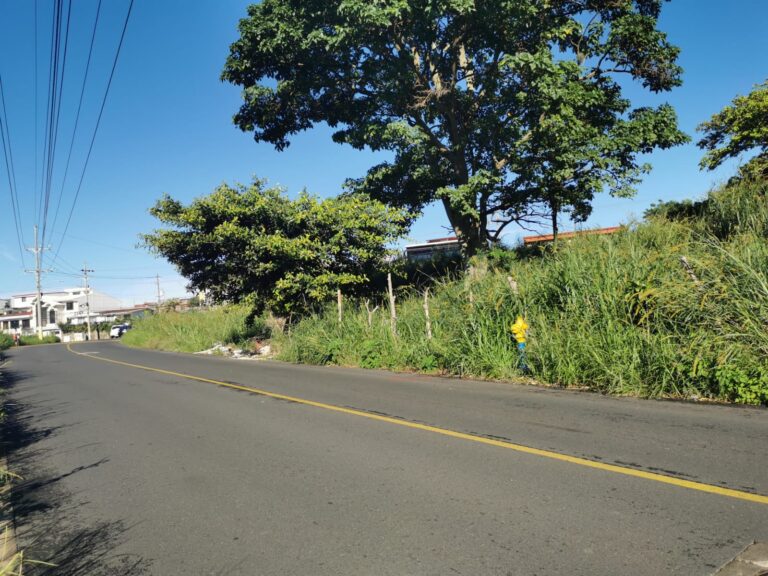 ACERAS TOMADAS POR LA MALEZA EN HEREDIA