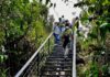PARQUE NACIONAL VOLCÁN ARENAL CON NUEVOS SENDEROS
