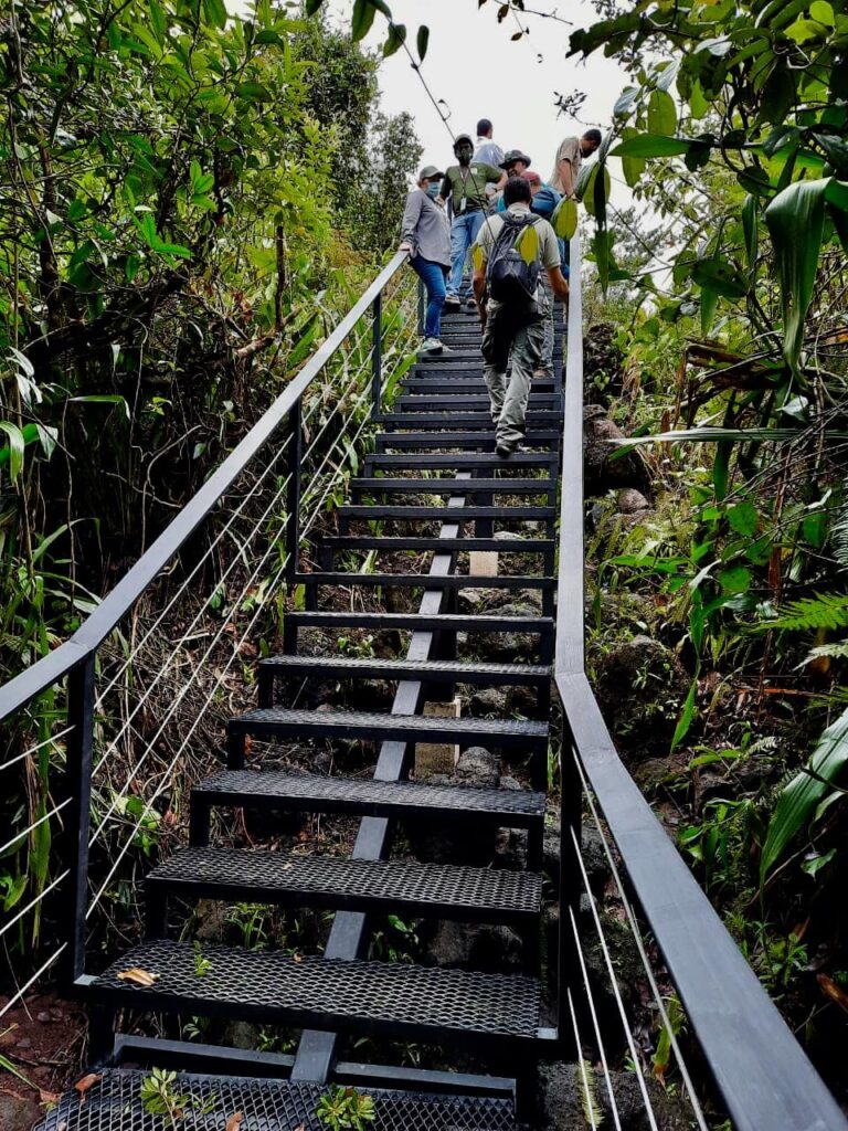 PARQUE NACIONAL VOLCÁN ARENAL CON NUEVOS SENDEROS