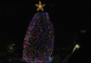 HOY SE ILUMINA ÁRBOL DEL HOSPITAL DE NIÑOS