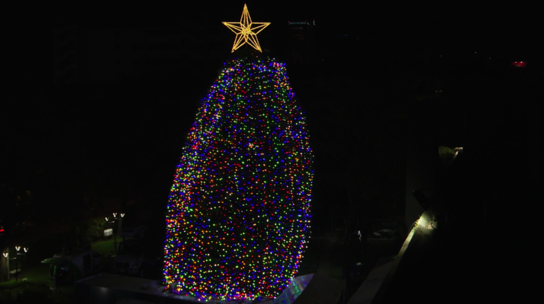 HOY SE ILUMINA ÁRBOL DEL HOSPITAL DE NIÑOS