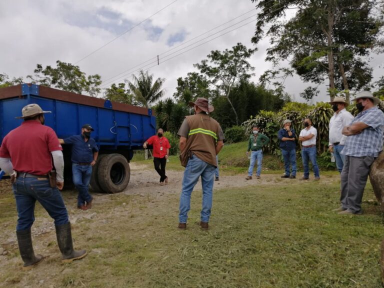 COSTA RICA ES REFERENTE INTERNACIONAL POR MODELO MIGRATORIO PARA MANO DE OBRA AGROPECUARIA