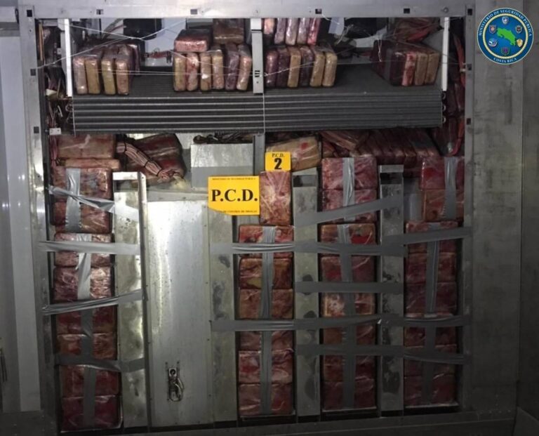 DECOMISAN DROGA EN DOS CONTENEDORES EN MOÍN