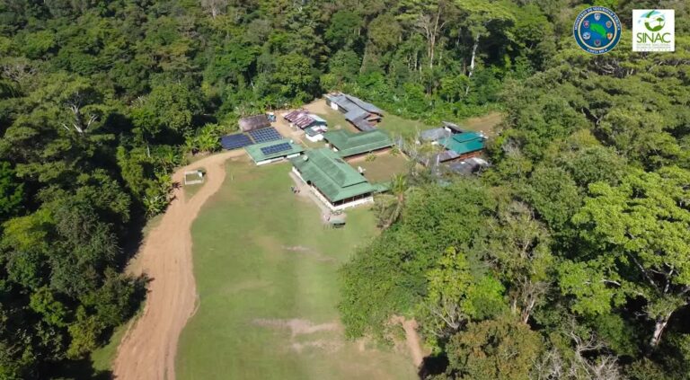 MEGA OPERATIVO AMBIENTAL EN CORCOVADO