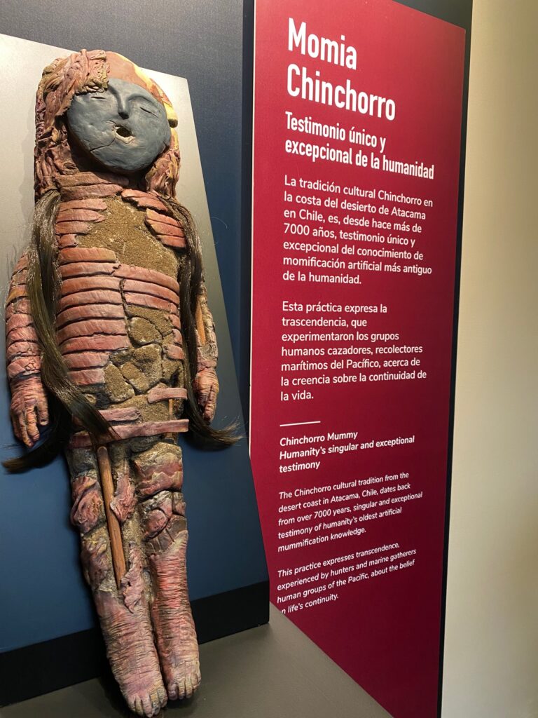 ¡UNA MOMIA LLEGA AL MUSEO DEL JADE!