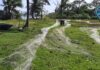 AUTORIDADES REDOBLAN ESFUERZOS PARA ELIMINAR TRASMALLOS EN EL CARIBE