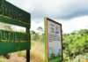 ELECTRICIDAD LLEGARÁ A TERRITORIO INDÍGENA ALTO LAGUNA EN DRAKE DE OSA