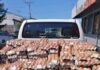 SENASA INCAUTA Y DESTRUYE HUEVOS QUE INGRESARON DE CONTRABANDO DESDE PANAMÁ