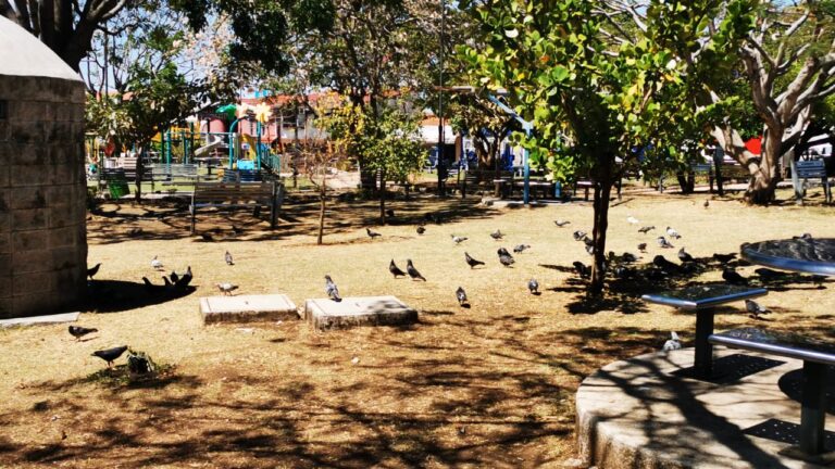 ELIMINAN COMEDEROS PARA ANIMALES EN PARQUES HEREDIANOS