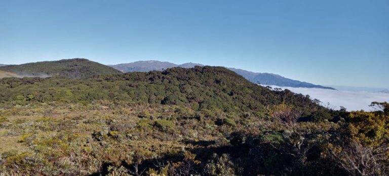 CERRO ENA SE SUMA AL PARQUE NACIONAL CHIRRIPÓ