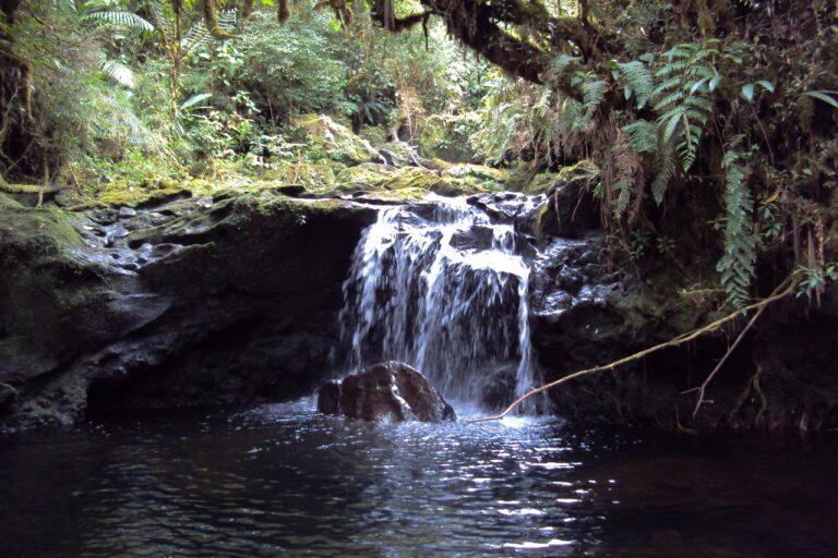 20 AÑOS PROTEGIENDO EL AGUA DE LOS HEREDIANOS
