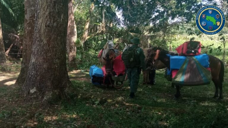 A CABALLO LLEVABAN 190 MIL CIGARROS DE CONTRABANDO