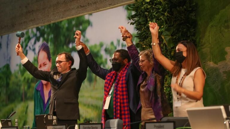 ONU TRABAJA ACUERDO VINCULANTE PARA LUCHAR CONTRA CONTAMINACIÓN POR  PLÁSTICO Y RESIDUOS QUÍMICOS