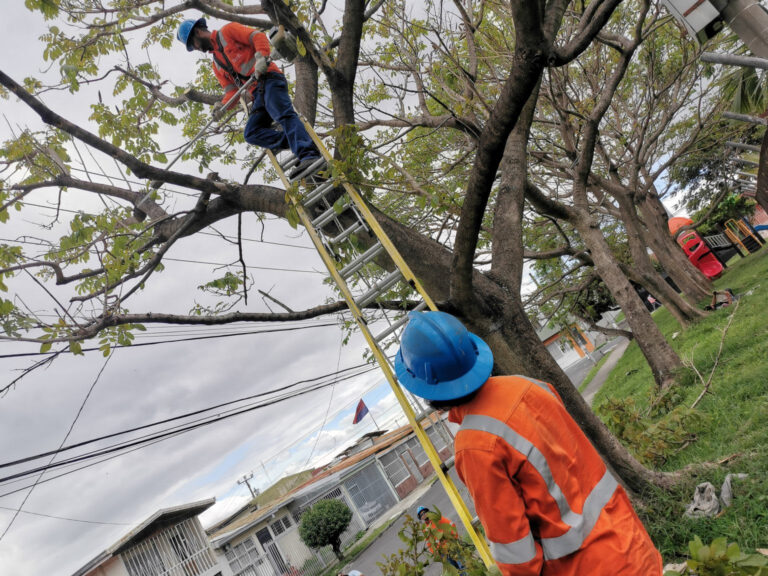 DESRAMAN 190 MIL METROS LINEALES CADA AÑO EN VERANO