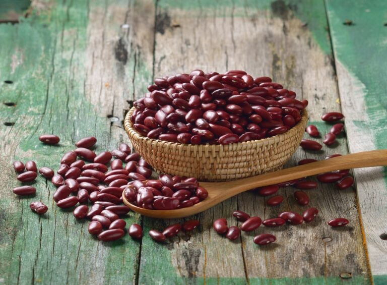 LOS FRIJOLES SON ALIMENTOS LIBRES DE AGROQUÍMICOS