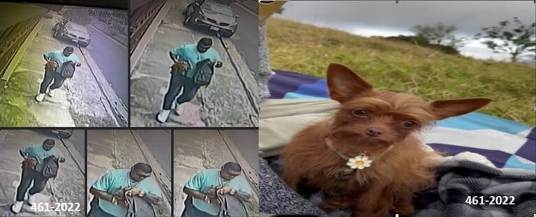 OIJ LO BUSCA POR LLEVARSE UNA PERRA