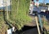 ACERA SE HUNDE EN MERCEDES NORTE