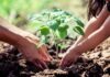 CONEXIÓN ENTRE NIÑOS Y LA TIERRA REPERCUTE EN SANA CONVIVENCIA