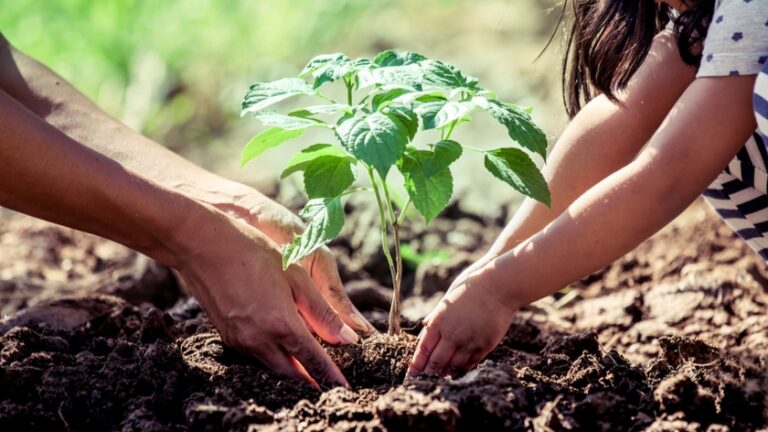 CONEXIÓN ENTRE NIÑOS Y LA TIERRA REPERCUTE EN SANA CONVIVENCIA