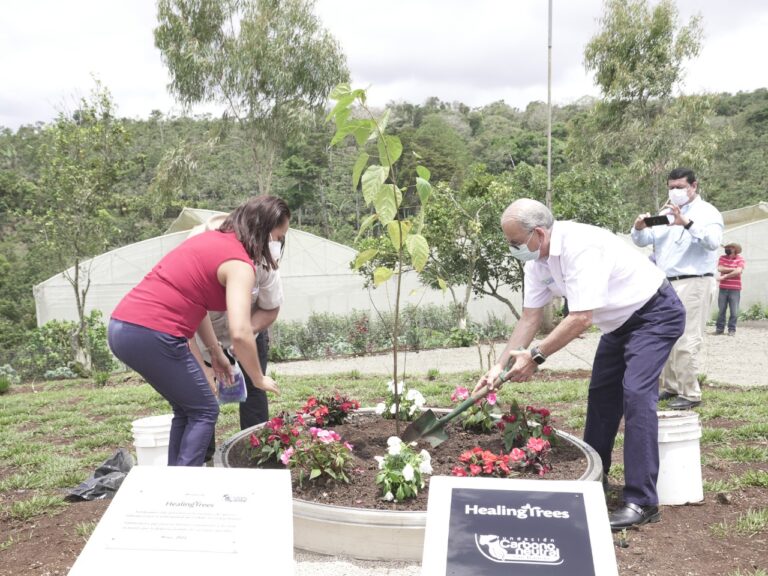 INICIA SIEMBRA DE ÁRBOLES PARA RECORDAR A FALLECIDOS POR COVID