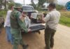 POLICÍA DECOMISA LORAS Y PERICOS QUE IBAN A VENDER
