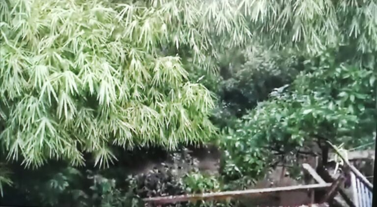 RÍO BERMÚDEZ SE HA IDO “COMIENDO” LAS PROPIEDADES