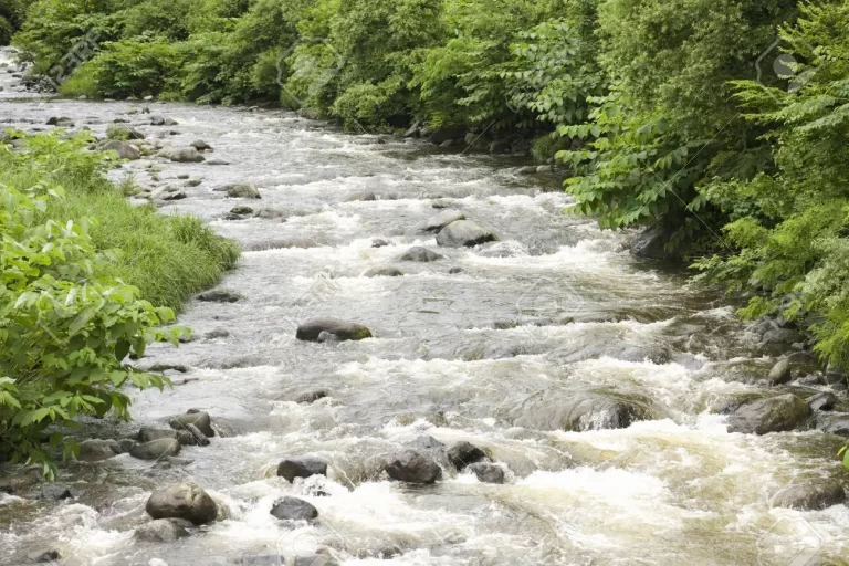 CABEZA DE AGUA ARRASTRA DOS PERSONAS EN SAN CARLOS