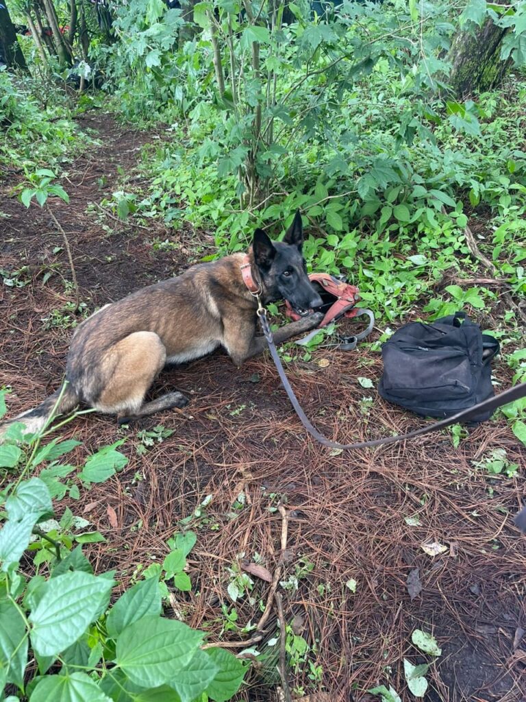EN ALLANAMIENTO DETIENEN SUJETO EN SAN RAFAEL