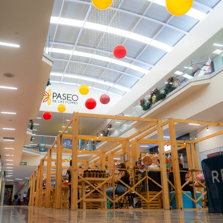 MERCADITO RUTA E506 LLEGA A PASEO DE LAS FLORES