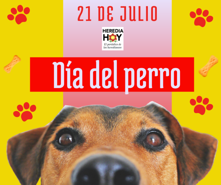 DÍA DEL PERRO NACE PARA HACER CONCIENCIA SOBRE EL ABANDONO