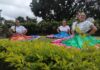 GRUPO FOLCLÓRICO DE LA AURORA IRÁ DE GIRA A CARTAGENA