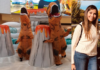 ¿SE IMAGINA A GINNES RODRÍGUEZ CORRIENDO CON UN TRAJE DE DINOSARIO?