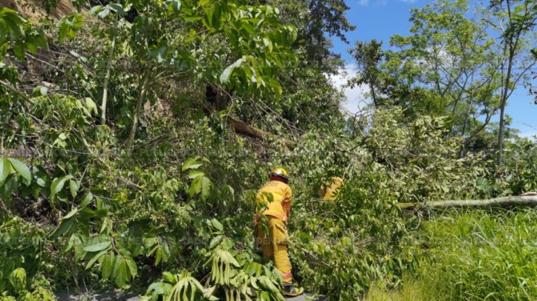 ALERTAN SOBRE DESLIZAMIENTO CON PERSONAS ATRAPADAS