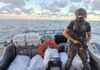 TRANSPORTABAN 200 KILOS DE MARIAHUANA Y SEMILLAS