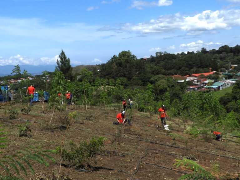 REFORESTAN MARGENES DE RÍO PORROSATÍ EN SAN JOSÉ DE LA MONTAÑA