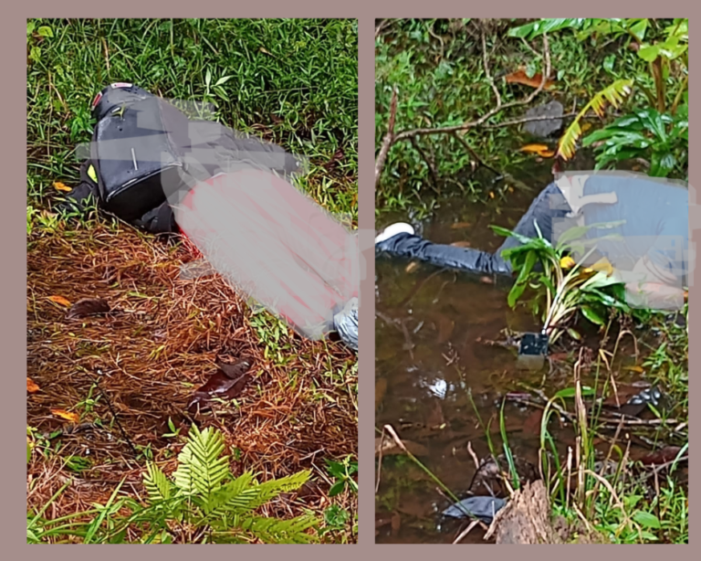 OIJ IDENTIFICA JÓVENES ACRIBILLADOS EN GUÁPILES