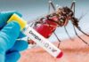 CUATRO TIPOS DE DENGUE CIRCULAN EN SARAPIQUÍ