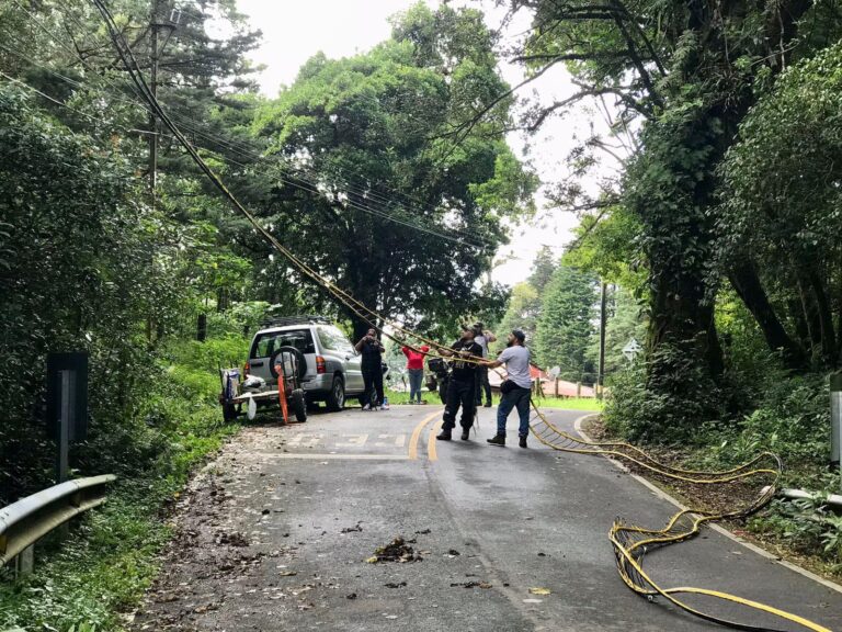 PASOS ELEVADOS PARA PROTEGER FAUNA