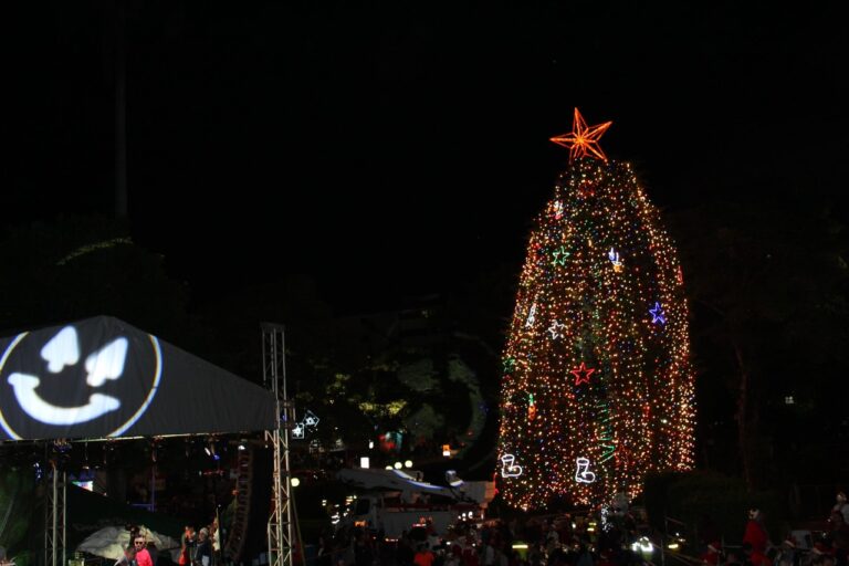 CON 15 MIL LUCES LED SE ILUMINARÁ EL ÁRBOL DEL HOSPITAL DE NIÑOS