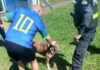 POLICÍA RESCATA PERRO QUE CAYÓ EN ALCANTARILLA Y OTRO CALLEJERO