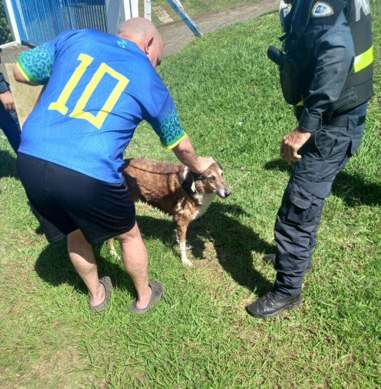 POLICÍA RESCATA PERRO QUE CAYÓ EN ALCANTARILLA Y OTRO CALLEJERO