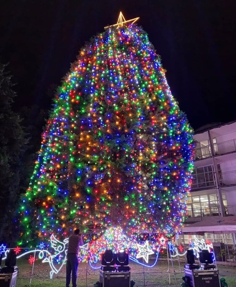 ILUMINACIÓN DEL ÁRBOL DEL HOSPITAL DE NIÑOS SE REALIZARÁ SIN PÚBLICO