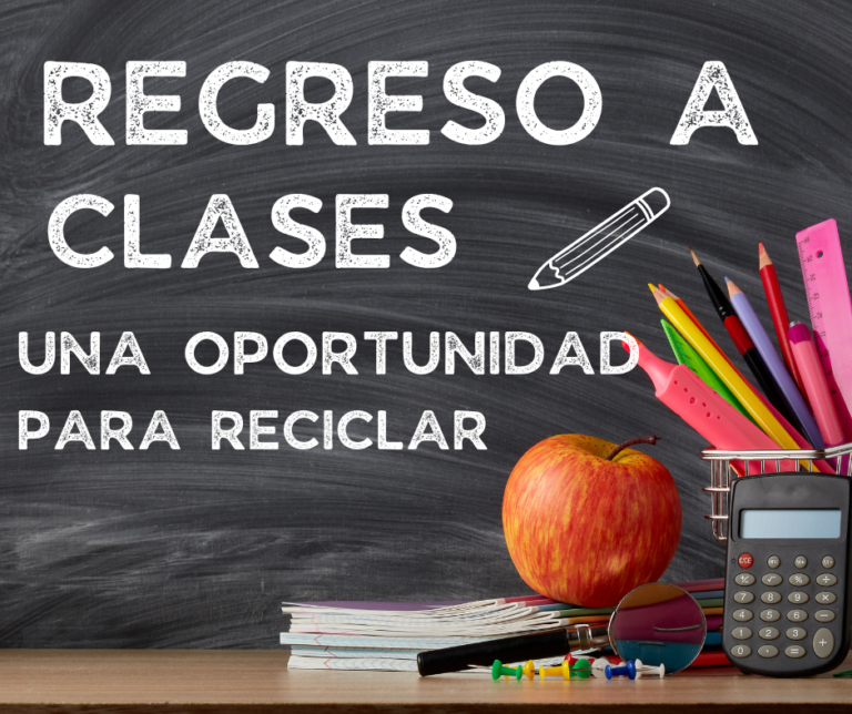 LA TEMPORADA ESCOLAR TRAE NUEVAS OPORTUNIDADES AMBIENTALES