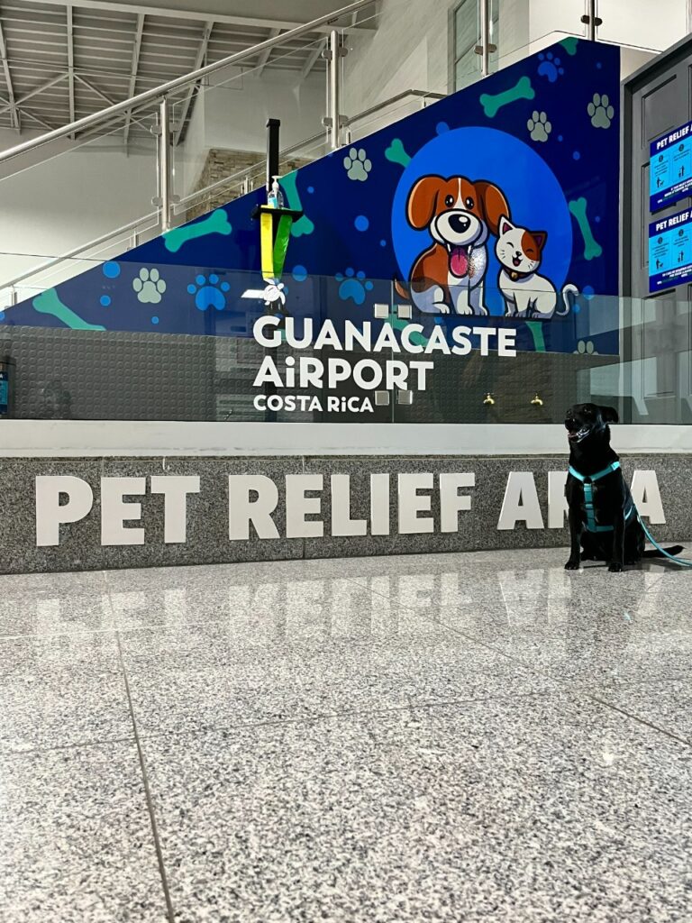 AEROPUERTO DE GUANACASTE ESTRENA ZONA ESPECIAL PARA MASCOTAS QUE ESPERAN UN VUELO